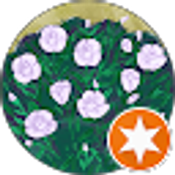 Profile photo of Jasmine Thuc