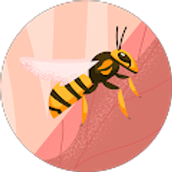 Profile photo of Destiny Bateman