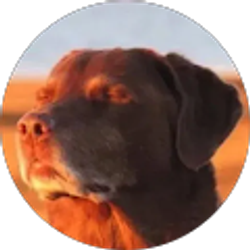 Profile photo of Ariana Wagner