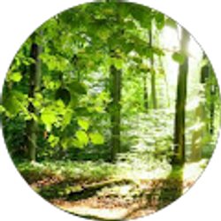 Profile photo of Mary Ann Rojas