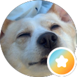 Profile photo of CMC