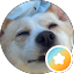Profile photo of CMC