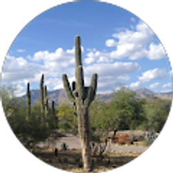 Profile photo of Naomi Barkley