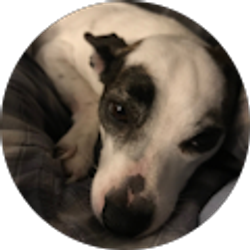 Profile photo of Russel Simas