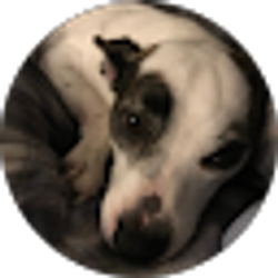 Profile photo of Russel Simas