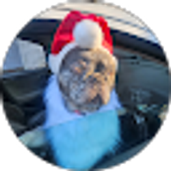 Profile photo of Chase Enzor2