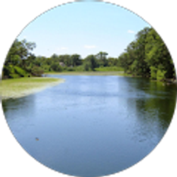 Profile photo of Sin