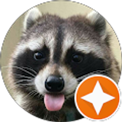 Profile photo of Aliyah