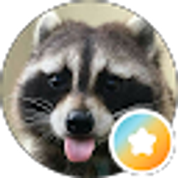 Profile photo of Aliyah