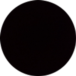 Profile photo of Amber Choi