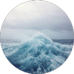 Profile photo of Courteney Webb