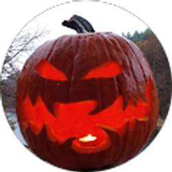 Profile photo of setc crow