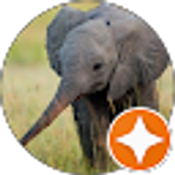 Profile photo of Shannon Chereé Stover