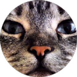 Profile photo of Shirley Starks