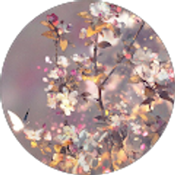 Profile photo of Raquel Lopez