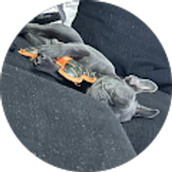 Profile photo of Monique Garcia