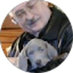 Profile photo of Michael Stewart