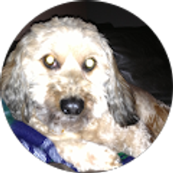 Profile photo of Cammie Radcliff