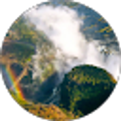 Profile photo of Phill Hanold