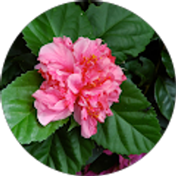 Profile photo of Margie Richards