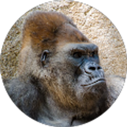 Profile photo of PD Polena