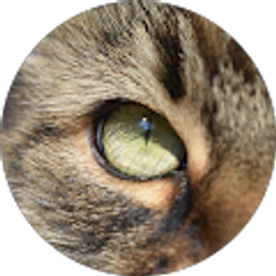 Profile photo of Mai