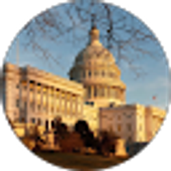 Profile photo of Kamran Tavakol