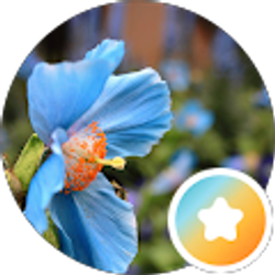 Profile photo of Breanna Kimes