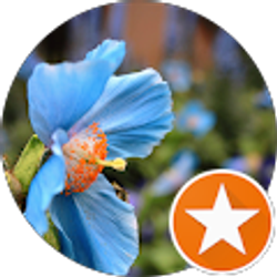 Profile photo of Breanna Kimes