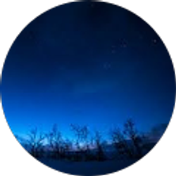 Profile photo of Tamara Bodner