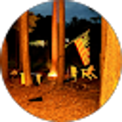 Profile photo of Annie Caroselli