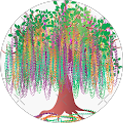 Profile photo of Jennifer J