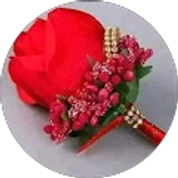 Profile photo of siraad Hashi