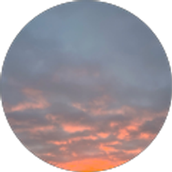 Profile photo of Alexa S