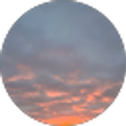 Profile photo of Alexa S
