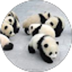 Profile photo of Laurie Garland