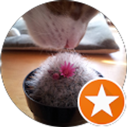 Profile photo of Darrell Lindrud