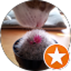 Profile photo of Darrell Lindrud