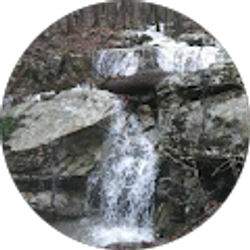 Profile photo of Aden Lewis