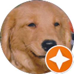 Profile photo of Brian D