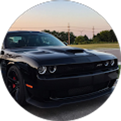 Profile photo of Mike Maldonado