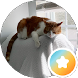 Profile photo of Kriszel D