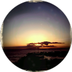 Profile photo of sachi tanimoto