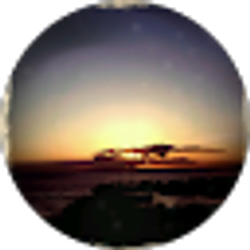 Profile photo of sachi tanimoto