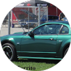 Profile photo of Tom Territo
