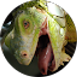 Profile photo of Carl Sutton
