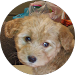 Profile photo of Kathy Drury