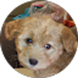Profile photo of Kathy Drury