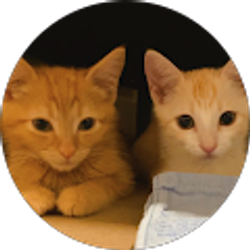 Profile photo of Richard Chen