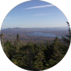 Profile photo of Doreen Jackson